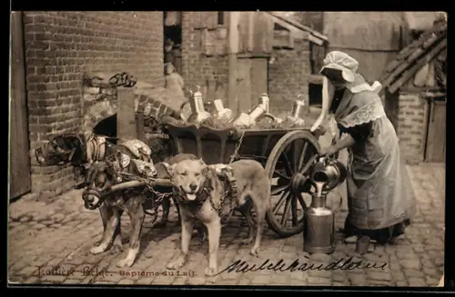 AK Frontière Belge, Bapteme du Lait, Hundegespann