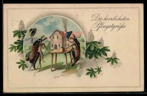 Passepartout-Lithographie Maikäfer beim Bier grüsst Maikäfer-Passanten, Pfingstgruss