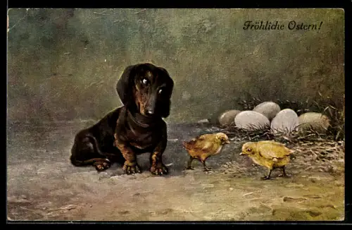 AK Streng blickender Dackel mit Kükenpaar, Ostergruss