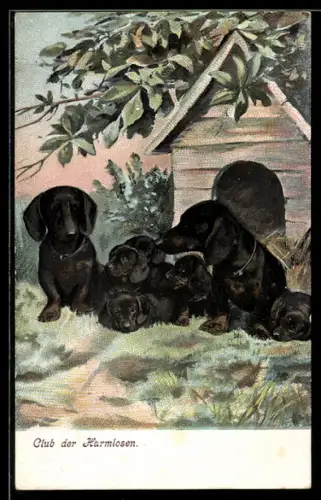 AK Club der Harmlosen, Dackelfamilie vor Hundehütte