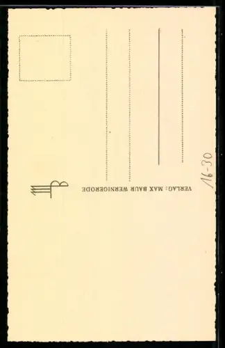 Foto-AK Max Baur: Wernigerode, Rathaus mit Brunnen