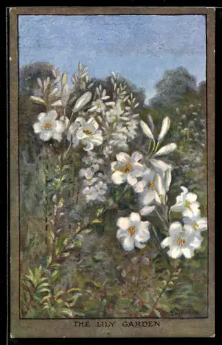 Künstler-AK S. Barham: The Lily Garden