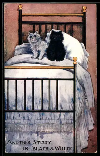 Künstler-AK Reg Carter: Schwarze und weisse Katze sitzen auf einem Bett