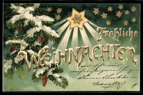 Lithographie Verschneite Tannenzweige mit Weihnachtsstern, Fröhliche Weihnachten