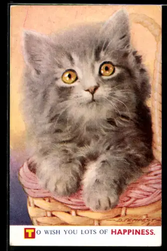 Künstler-AK Douglas Tempest: Junge Katze im Körbchen