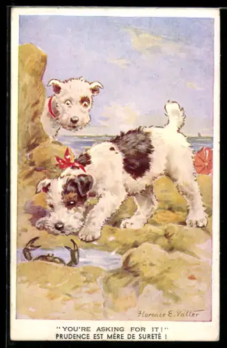 Künstler-AK Florence E. Valter: Zwei junge Hunde betrachten eine Krabbe am Strand