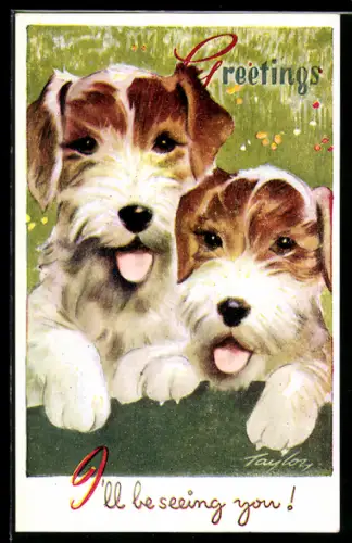 Künstler-AK Arnold Taylor: Portraitansicht von zwei jungen Hunden