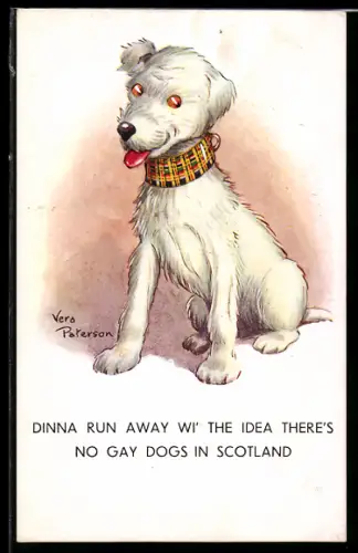 Künstler-AK Vera Paterson: Hund mit weissem Fell und kariertem Halsband