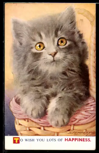 Künstler-AK Douglas Tempest: Junge Katze im Körbchen