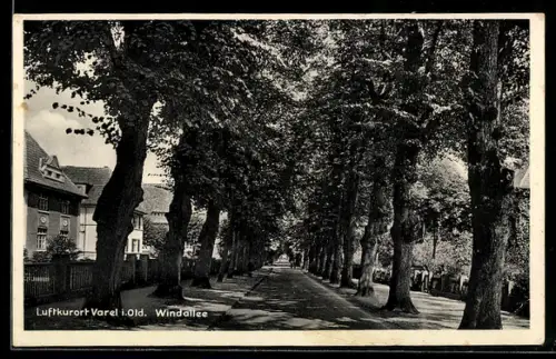 AK Varel i. Old., Windallee