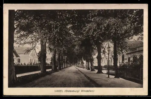 AK Varel /Oldenburg, Windallee