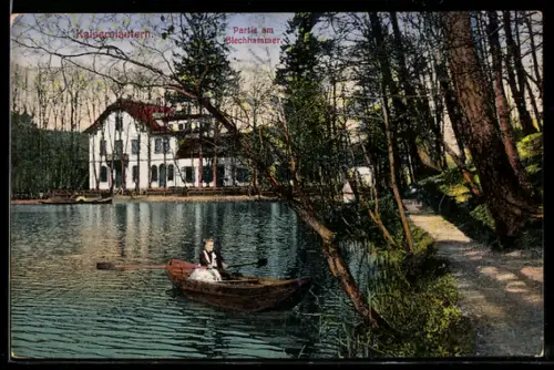 AK Kaiserslautern, Partie am Blechhammer