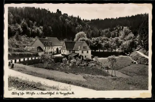 AK Trippstadt, Klug`sche Mühle im Karlstal, Gasthaus, Pension, Schattiger Garten
