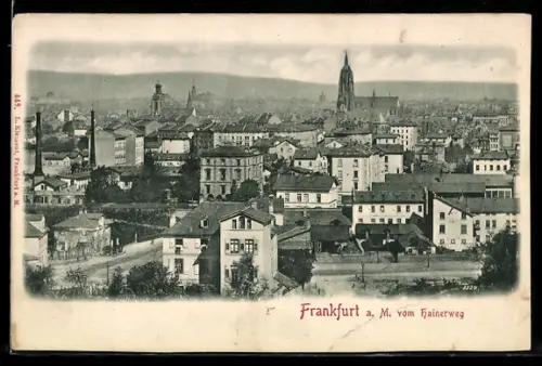 AK Frankfurt-Sachsenhausen, Panorama vom Hainerweg