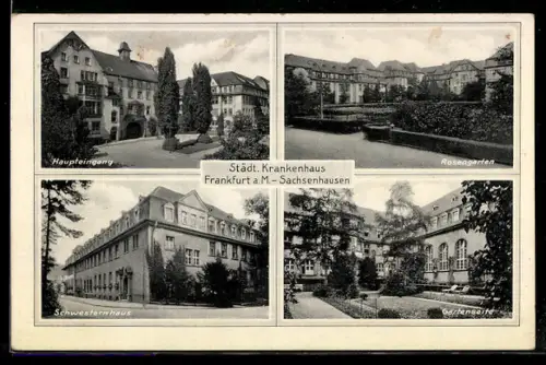 AK Frankfurt a. M.-Sachsenhausen, Städt. Krankenhaus, Haupteingang, Rosengarten, Schwesternhaus, Gartenhaus