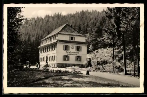 AK Finsterbrunnertal /Karlstal, Naturfreundehaus Ortsgr. Kaiserslautern, Ferien- und Erholungsheim