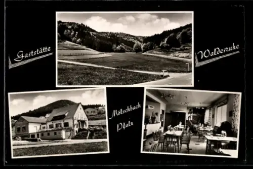 AK Kaiserslautern-Mölschbach, Gaststätte-Pension Waldesruhe K. Väth, Innenansicht, Landschaft