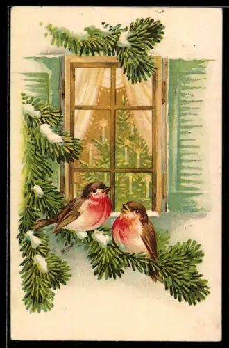 AK Zwei Rotkehlchen auf einer Tanne, Fenster einer Weihnachtsstube