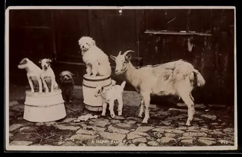 AK A Happy Family, Ziege, Zicklein, Hunde auf Tonnen