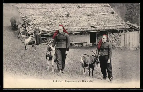 AK Champéry, Paysannes, Bäuerinnen mit Ziegen
