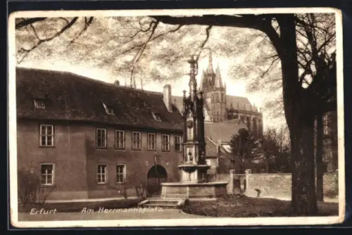 AK Erfurt, Hermannsplatz