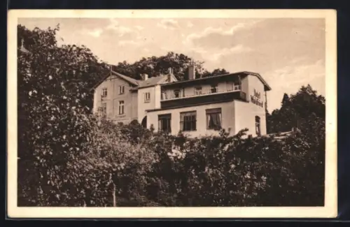 AK Mölln i. Lbg., Hotel und Pension Waldfried von Alfred Beerhold