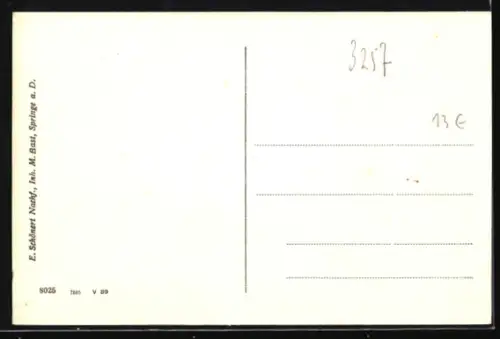 AK Springe a. D., Lange Strasse mit Hotel Ratskeller