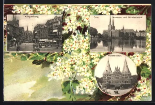 Lithographie Lübeck, Klingenberg, Holstentor, Dom, Museum und Mühlenteich, Blütenzweig