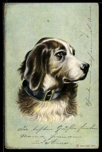 Lithographie Jagdhund mit Halsband, Portrait