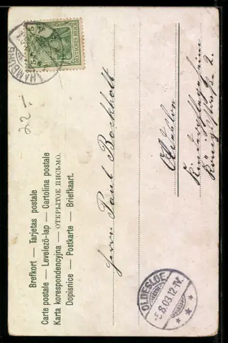 Lithographie Jagdhund mit Halsband, Portrait