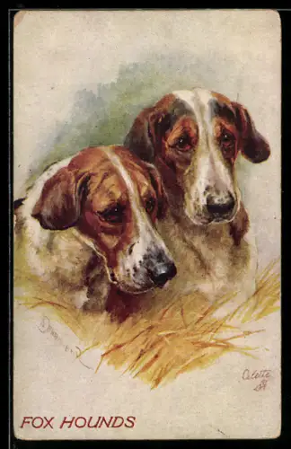 AK Fox Hounds, Portrait