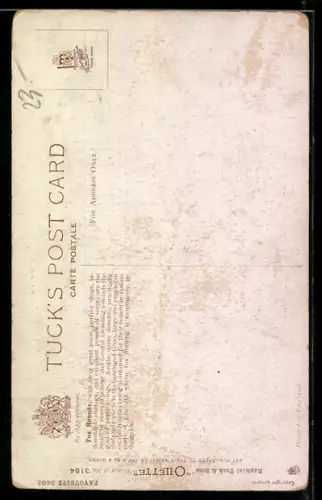 AK Fox Hounds, Portrait