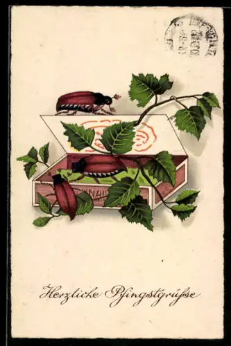 AK Maikäfer und Schachtel mit Birkenblättern, Pfingstgruss