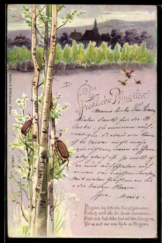 Lithographie Zwei Maikäfer krabbeln Birkenstämme hinauf, fliegende Maikäfer, Ortschaft, Pfingstgruss
