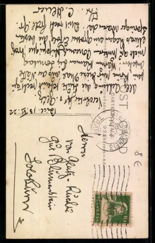 Foto-AK Angeleinter Jagdhund im Sitz auf einem Rasen