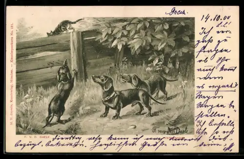 AK Drei Dackel und über einen Zaun flüchtende Katze