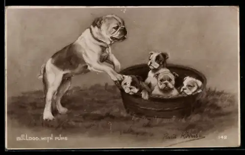 AK Bulldogge mit Welpen in einem Korb
