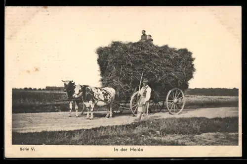 AK In der Heide, Bauernfamilie mit beladenem Ochsen-Gespann