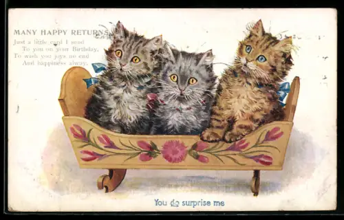 AK Drei Katzenkinder mit erstauntem Blick, Geburtstagsgruss
