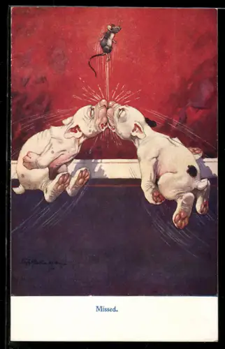 Künstler-AK George Ernest Studdy: Zwei Hunde stossen auf der Jagd nach einer Maus zusammen