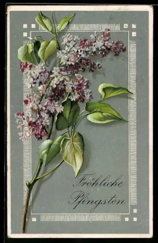 AK Flieder in voller Blüte, Pfingsten