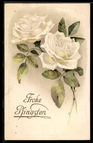 AK Weisse Rosen in voller Blüte, Pfingsten