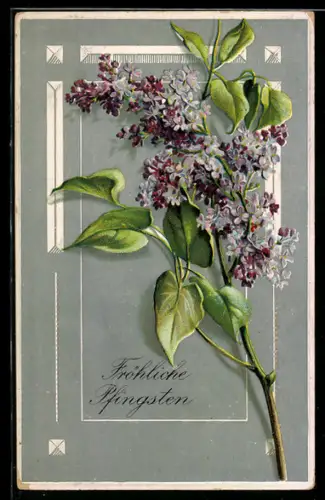 AK Blühender Flieder zum Pfingstfest