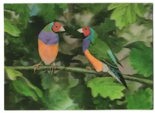 3D-AK Zwei Finken auf einem Zweig