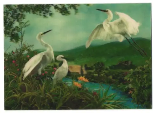 3D-AK Three Egrets, weisse Reiher am Bach
