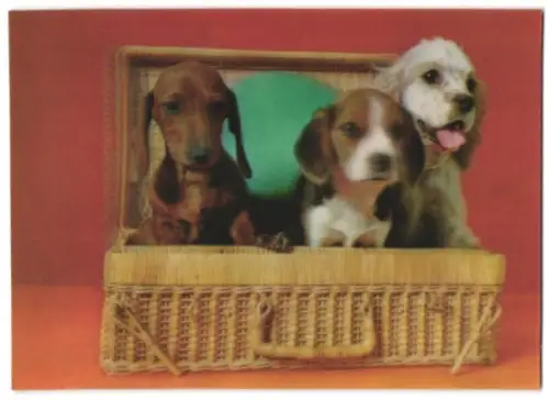 3D-AK Three Dogs in Basket, Hunde im Korbkoffer