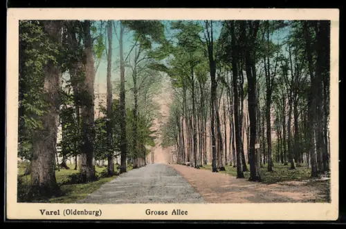 AK Varel /Oldenburg, Grosse Allee