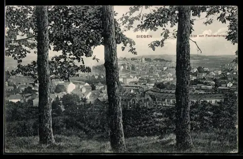 AK Siegen, Blick vom Fischbacherberg auf die Stadt