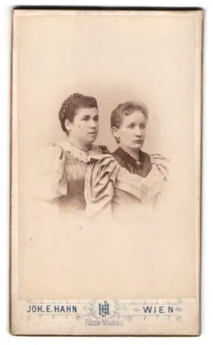 Fotografie Joh. E. Hahn, Wien, Mariahilfstrasse 105, Zwei Damen in elegantem Gewand