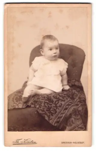 Fotografie Th. Kirsten, Dresden, Bautznerstrasse 79, Porträt eines Kleinkindes